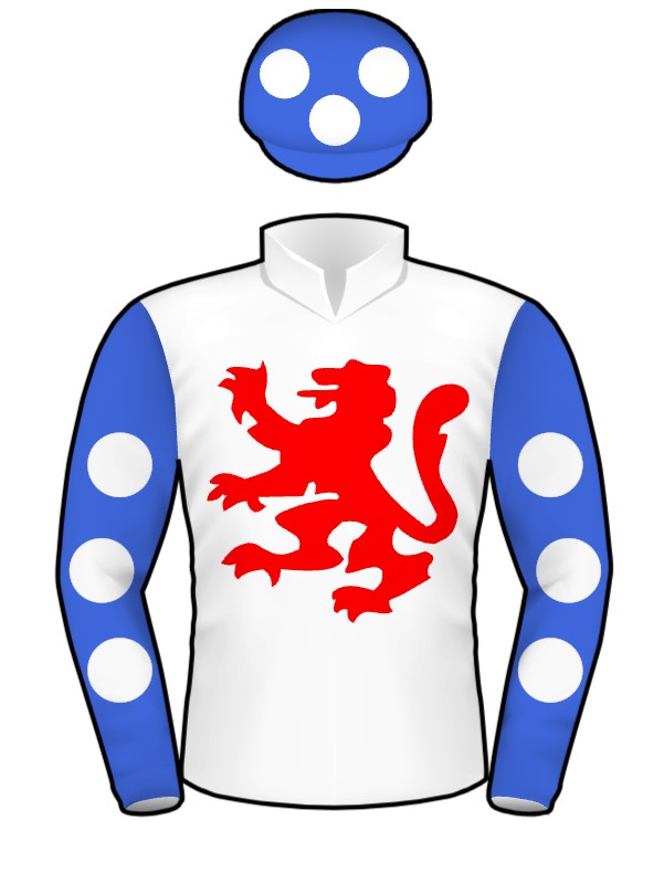 Wild Dancer Horse Profile, Form, Stats, Results, Next Race & Odds